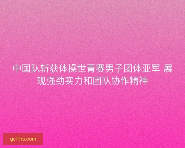 中国队斩获体操世青赛男子团体亚军 展现强劲实力和团队协作精神