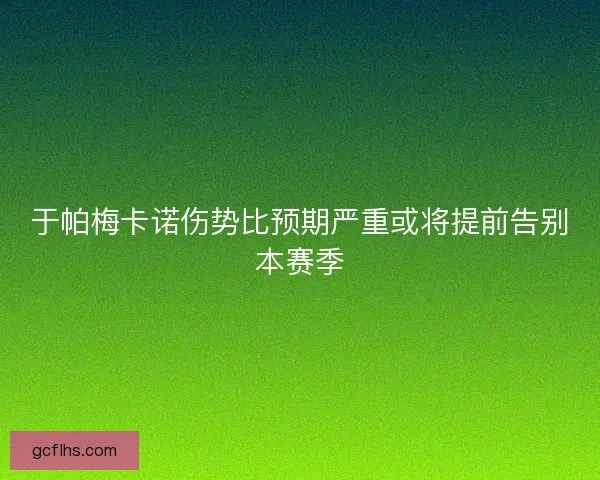 于帕梅卡诺伤势比预期严重或将提前告别本赛季