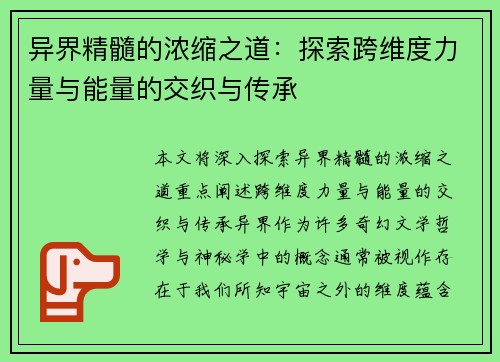 异界精髓的浓缩之道：探索跨维度力量与能量的交织与传承